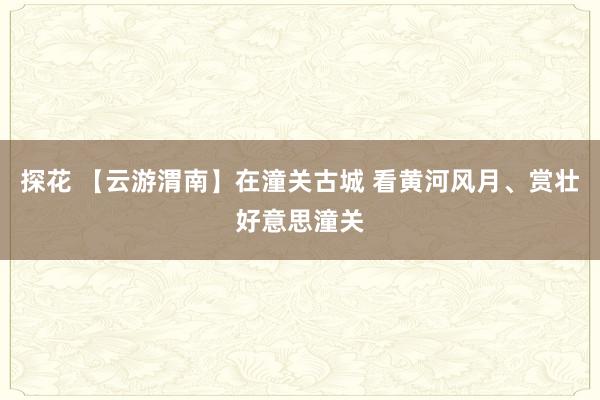 探花 【云游渭南】在潼关古城 看黄河风月、赏壮好意思潼关